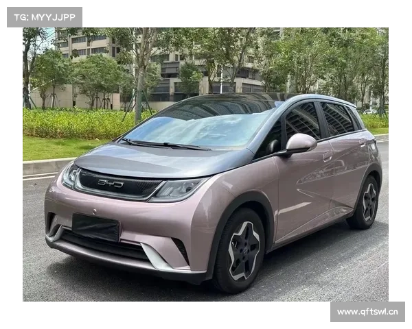 “喷粉末的比亚迪海豚”:有车主换过一次还喷 “喷粉末的比亚迪海豚”:有车主换过一次还喷